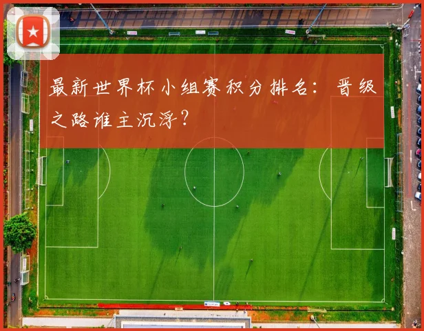 最新世界杯小组赛积分排名：晋级之路谁主沉浮？